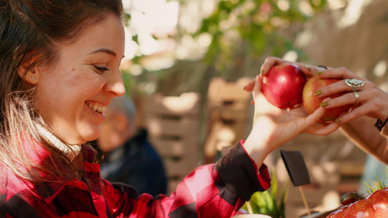 Apple Picking Date Ideas